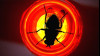 Imagine Fly