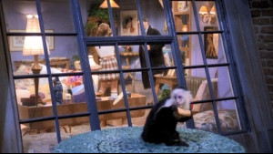 Imagine Friends Sezonul 1 Episodul 19