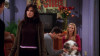 Imagine The One Where Chandler Doesn't Like Dogs