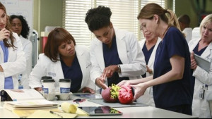 Imagine Grey's Anatomy Sezonul 11 Episodul 10