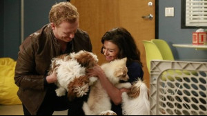 Imagine Grey's Anatomy Sezonul 12 Episodul 14