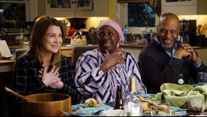 Imagine Grey's Anatomy Sezonul 13 Episodul 18