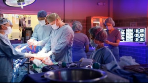Imagine Grey's Anatomy Sezonul 13 Episodul 8