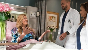 Imagine Grey's Anatomy Sezonul 14 Episodul 16