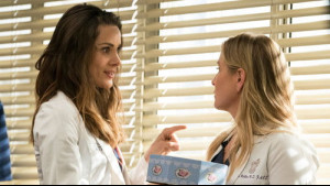 Imagine Grey's Anatomy Sezonul 14 Episodul 20