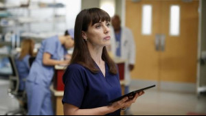 Imagine Grey's Anatomy Sezonul 9 Episodul 12