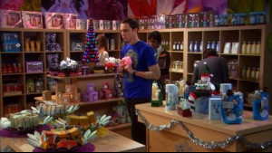 Imagine The Big Bang Theory Sezonul 2 Episodul 11