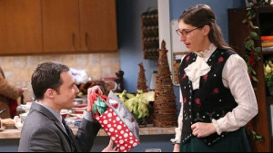 Imagine The Big Bang Theory Sezonul 8 Episodul 11