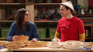 Imagine The Big Bang Theory Sezonul 8 Episodul 12