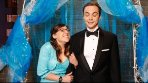 Imagine The Big Bang Theory Sezonul 8 Episodul 8