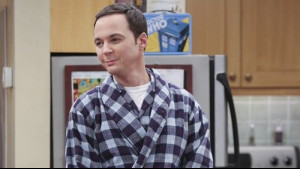 Imagine The Big Bang Theory Sezonul 9 Episodul 13