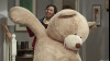 Imagine The Big Bear Precipitation