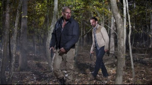 Imagine The Walking Dead Sezonul 2 Episodul 12