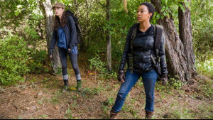 Imagine The Walking Dead Sezonul 7 Episodul 14