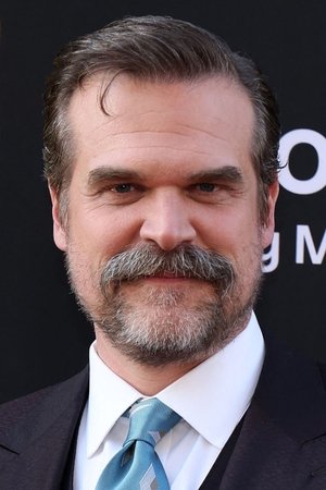 Imagine David Harbour